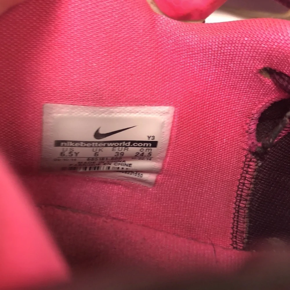 Nike LeBron James sneakers